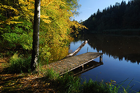 U Báby Šubrový - Podzimní rybník u vrby